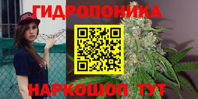 спайс Коммунар